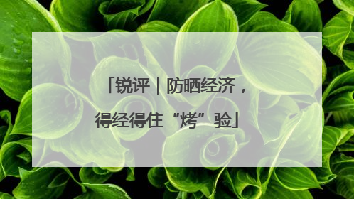 锐评｜防晒经济，得经得住“烤”验
