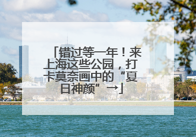 错过等一年！来上海这些公园，打卡莫奈画中的“夏日神颜”→