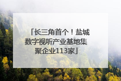 长三角首个！盐城数字视听产业基地集聚企业113家
