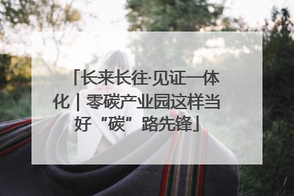 长来长往·见证一体化｜零碳产业园这样当好“碳”路先锋