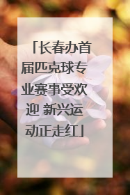 长春办首届匹克球专业赛事受欢迎 新兴运动正走红