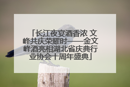 长江夜宴酒香浓 文峰共庆荣耀时——金文峰酒亮相湖北省庆典行业协会十周年盛典