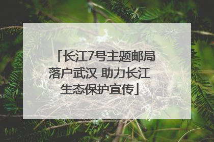 长江7号主题邮局落户武汉 助力长江生态保护宣传