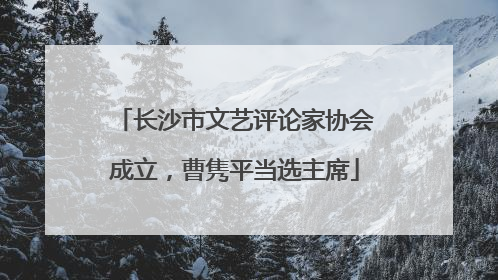 长沙市文艺评论家协会成立，曹隽平当选主席