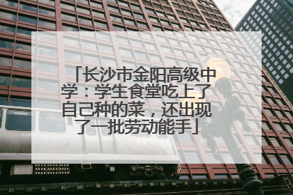 长沙市金阳高级中学：学生食堂吃上了自己种的菜，还出现了一批劳动能手