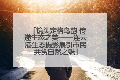 镜头定格鸟韵 传递生态之美——连云港生态摄影展引市民共赏自然之魅