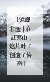 镜观·非遗｜在武夷山，这片叶子创造了传奇