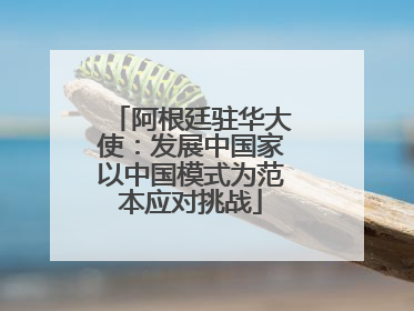阿根廷驻华大使：发展中国家以中国模式为范本应对挑战