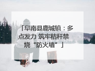 阜南县鹿城镇：多点发力 筑牢秸秆禁烧“防火墙”