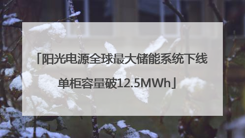 阳光电源全球最大储能系统下线 单柜容量破12.5MWh