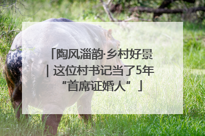 陶风淄韵·乡村好景｜这位村书记当了5年“首席证婚人”