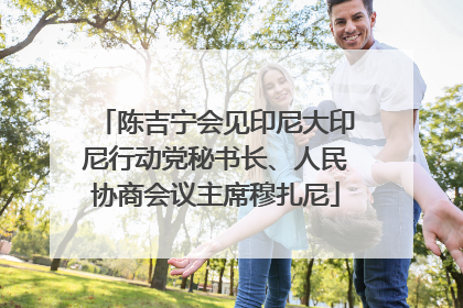 陈吉宁会见印尼大印尼行动党秘书长、人民协商会议主席穆扎尼