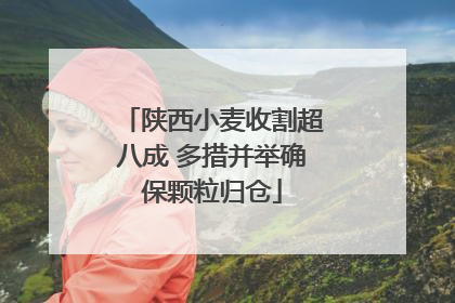 陕西小麦收割超八成 多措并举确保颗粒归仓