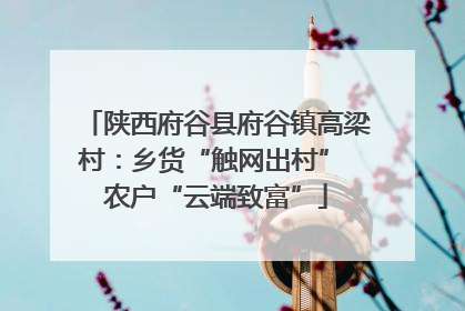 陕西府谷县府谷镇高梁村：乡货“触网出村” 农户“云端致富”