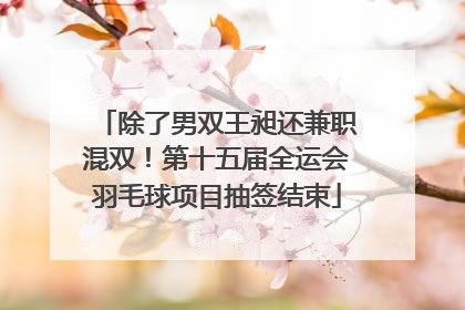 除了男双王昶还兼职混双！第十五届全运会羽毛球项目抽签结束