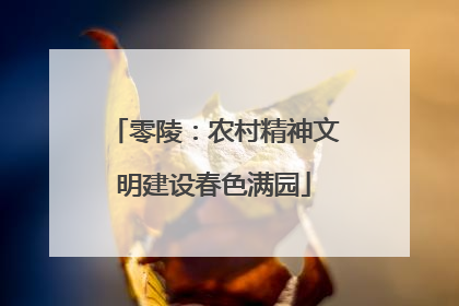 零陵：农村精神文明建设春色满园