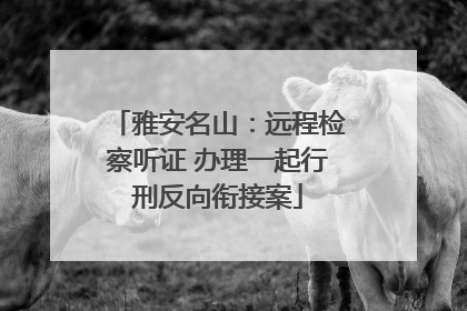 雅安名山：远程检察听证 办理一起行刑反向衔接案