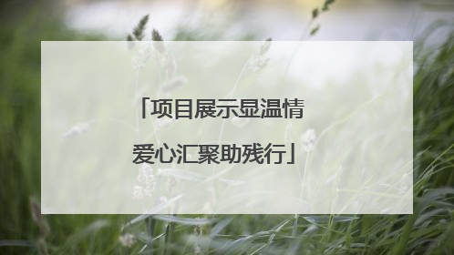 项目展示显温情 爱心汇聚助残行