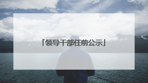 领导干部任前公示