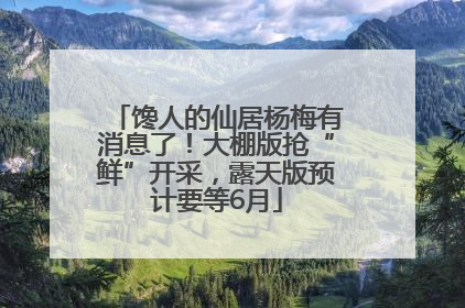 馋人的仙居杨梅有消息了！大棚版抢“鲜”开采，露天版预计要等6月