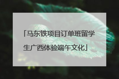马东铁项目订单班留学生广西体验端午文化