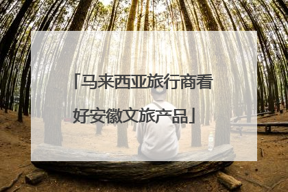 马来西亚旅行商看好安徽文旅产品