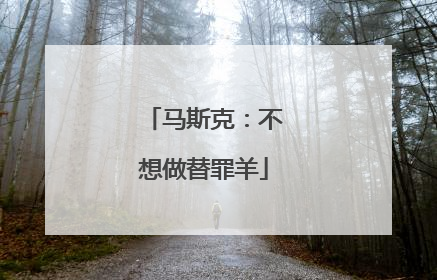 马斯克：不想做替罪羊