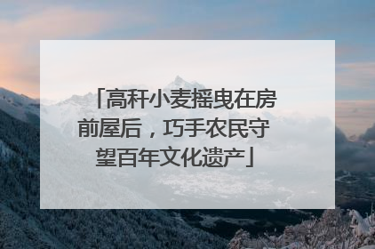 高秆小麦摇曳在房前屋后，巧手农民守望百年文化遗产