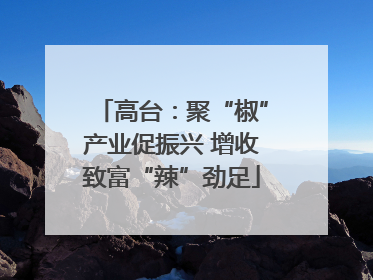 高台：聚“椒”产业促振兴 增收致富“辣”劲足