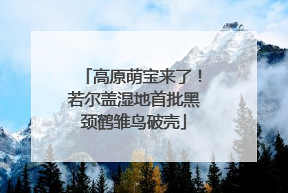 高原萌宝来了！若尔盖湿地首批黑颈鹤雏鸟破壳