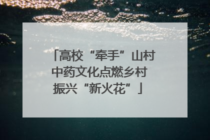 高校“牵手”山村 中药文化点燃乡村振兴“新火花”
