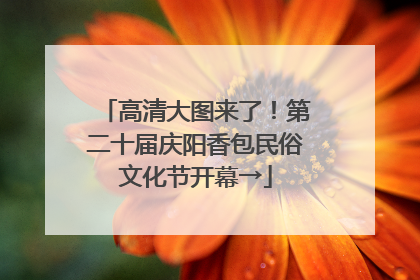高清大图来了！第二十届庆阳香包民俗文化节开幕→