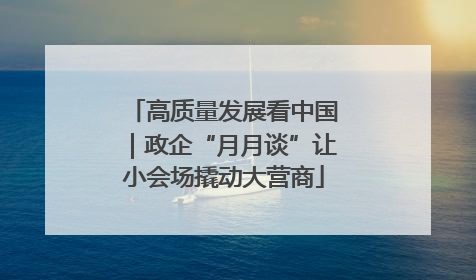 高质量发展看中国｜政企“月月谈”让小会场撬动大营商