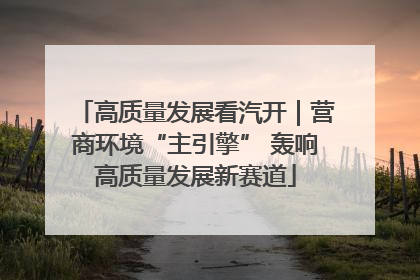 高质量发展看汽开｜营商环境“主引擎” 轰响高质量发展新赛道