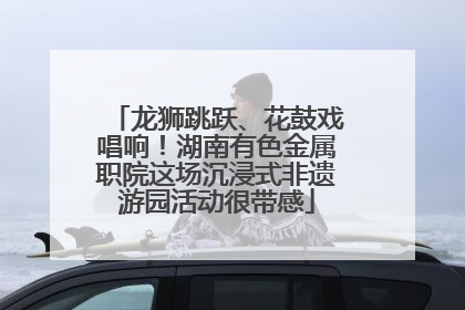 龙狮跳跃、花鼓戏唱响！湖南有色金属职院这场沉浸式非遗游园活动很带感
