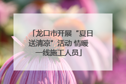 龙口市开展“夏日送清凉”活动 情暖一线施工人员