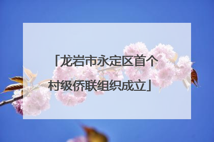 龙岩市永定区首个村级侨联组织成立