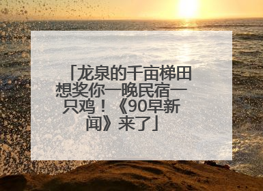 龙泉的千亩梯田想奖你一晚民宿一只鸡！《90早新闻》来了