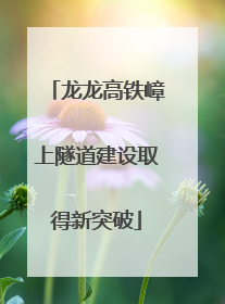 龙龙高铁嶂上隧道建设取得新突破
