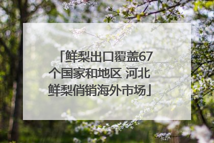 鲜梨出口覆盖67个国家和地区 河北鲜梨俏销海外市场