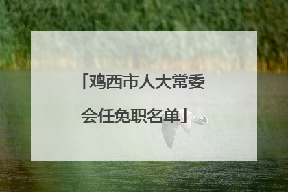 鸡西市人大常委会任免职名单
