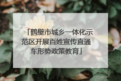 鹤壁市城乡一体化示范区开展百姓宣传直通车形势政策教育