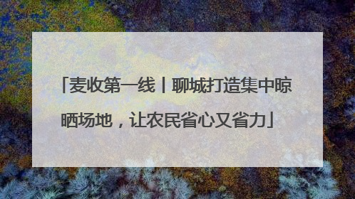 麦收第一线丨聊城打造集中晾晒场地，让农民省心又省力