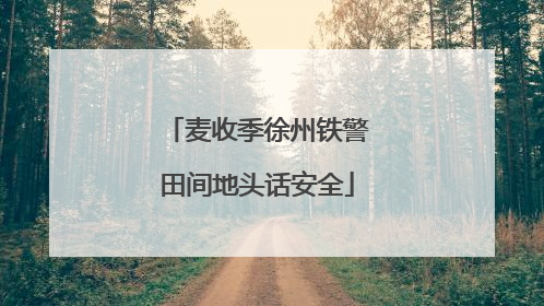 麦收季徐州铁警田间地头话安全