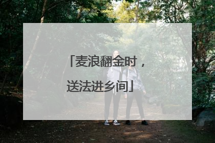 麦浪翻金时，送法进乡间