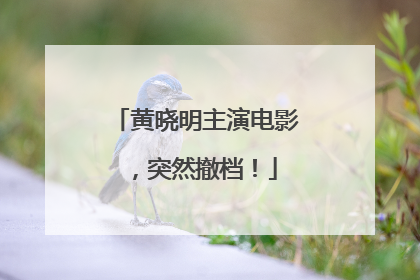 黄晓明主演电影，突然撤档！