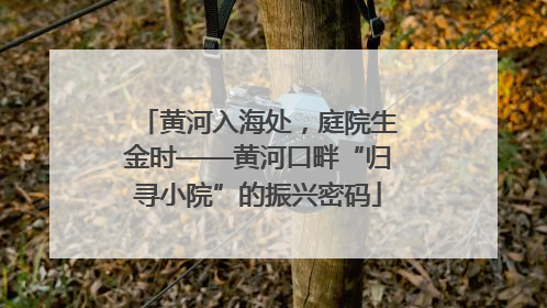 黄河入海处，庭院生金时——黄河口畔“归寻小院”的振兴密码