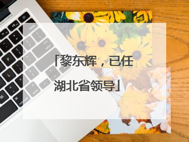 黎东辉，已任湖北省领导