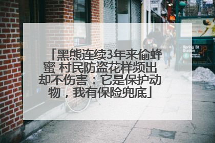 黑熊连续3年来偷蜂蜜 村民防盗花样频出却不伤害：它是保护动物，我有保险兜底