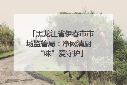 黑龙江省伊春市市场监管局：净网清厨 “味”爱守护